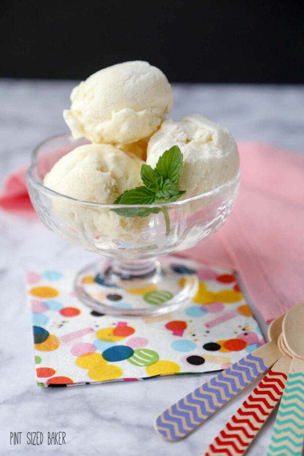 Classic Vanilla Ice Cream