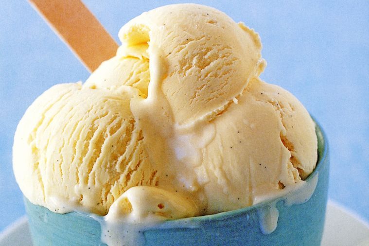 Vanilla Bean Ice Cream